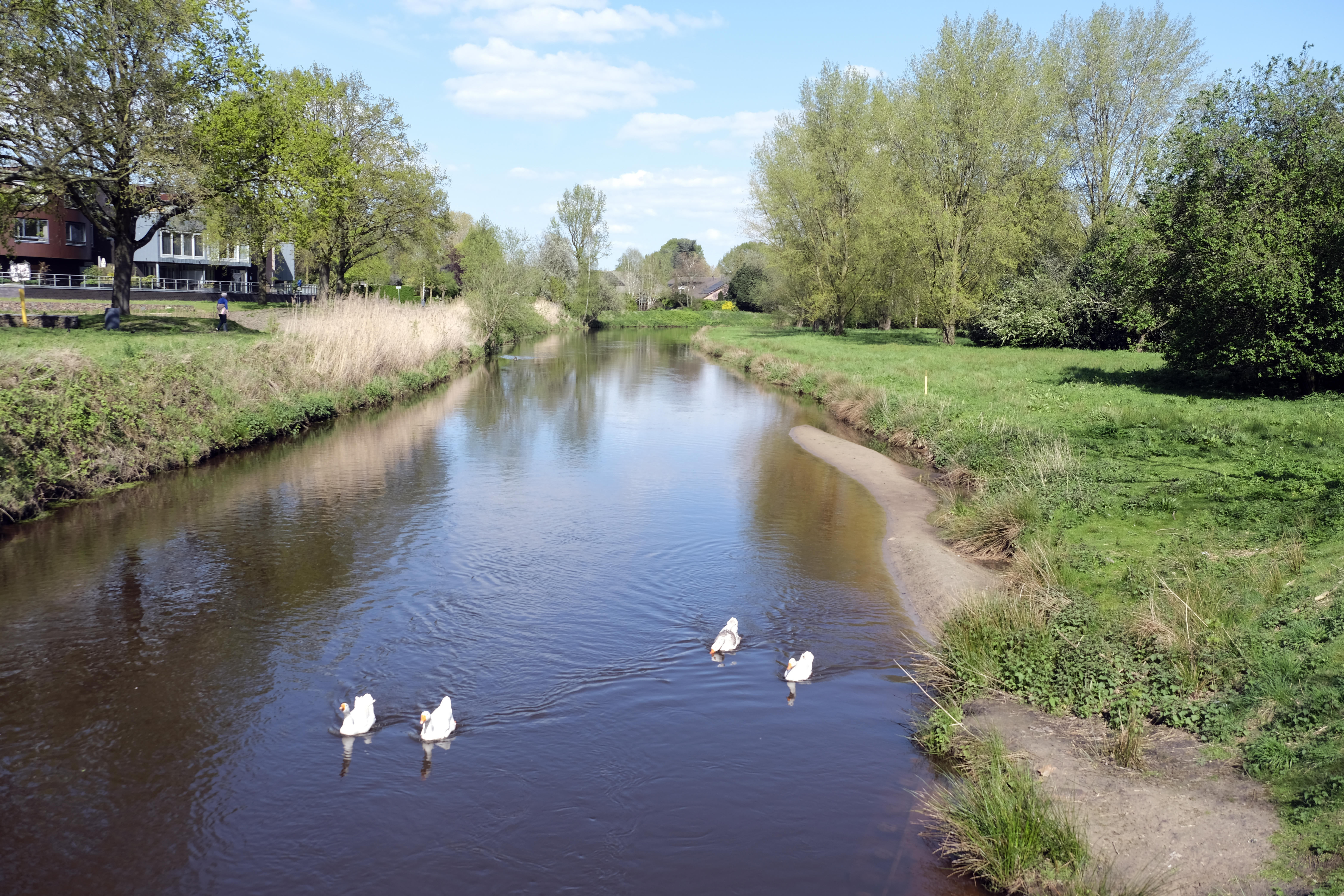 Boxtel blijft zich inzetten voor schone Dommel