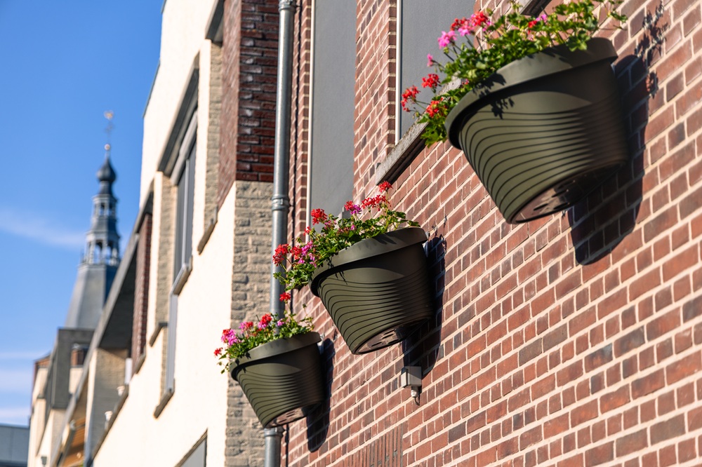 Boxtel centrum in bloei: kleurrijk, schoon en gastvrij deze zomer