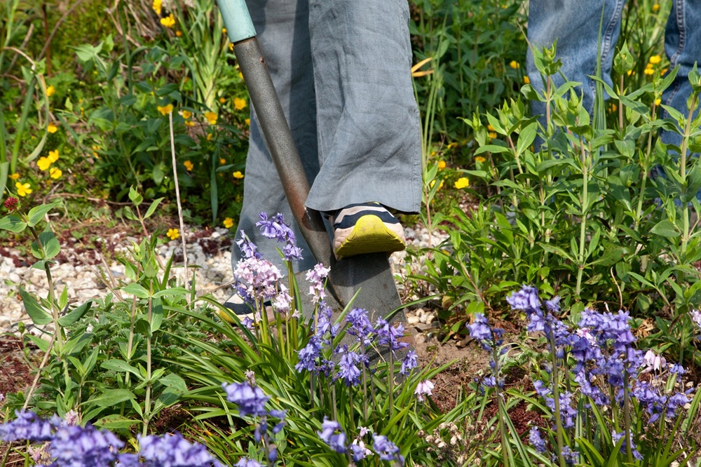 Maak van jouw tuin een levende tuin
