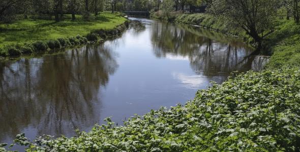 Stroom met struiken en bomen erlangs