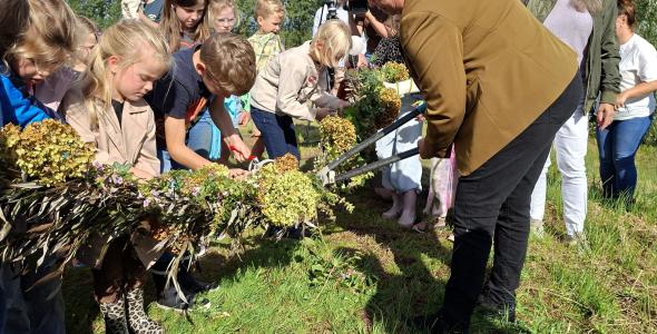 Wethouder van Laarhoven knipt samen met kinderen een versierde wilgentak door